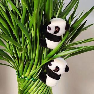 创意转运竹富贵竹熊猫夹子毛绒玩偶小公仔小挂件盆栽家居装饰成都
