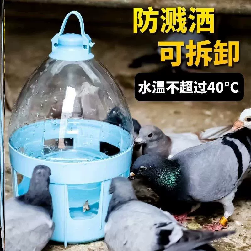 鴿用自動飲水器賽鴿水壺鴿具