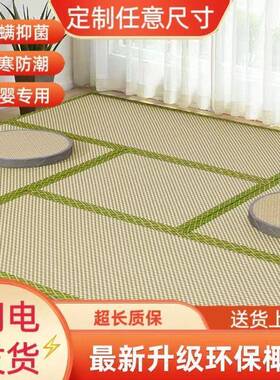 榻榻米子床垫椰家棕电加热踏垫踏地米日式用垫加热IRJ炕垫加热