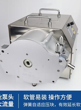 杰工恒业WT-300CA/S483KA蠕动泵计量泵软管蠕动KAS泵工业蠕动泵厂