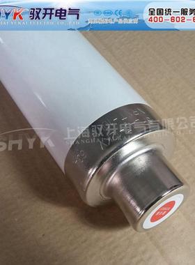 XRNT4限-无品牌/1.5KV/200A885*537保高压流熔断器（变压器护）