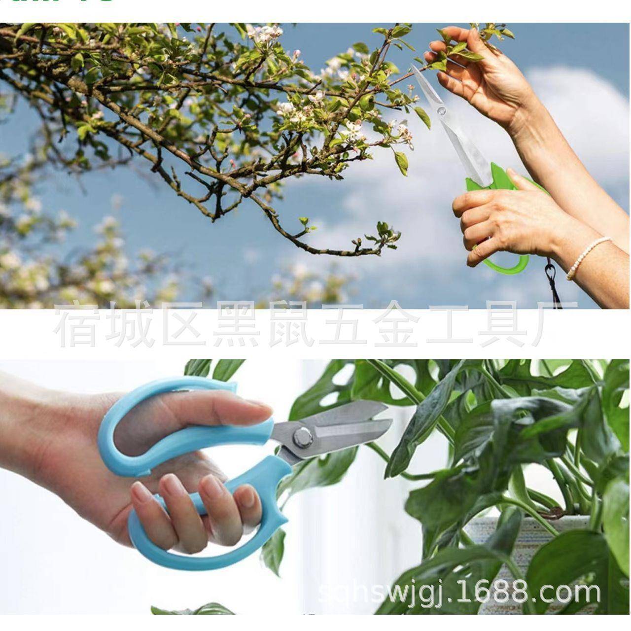 盆工具盆工剪具园艺剪盆景剪盆栽剪景修无品牌/枝栽盆栽工具套装
