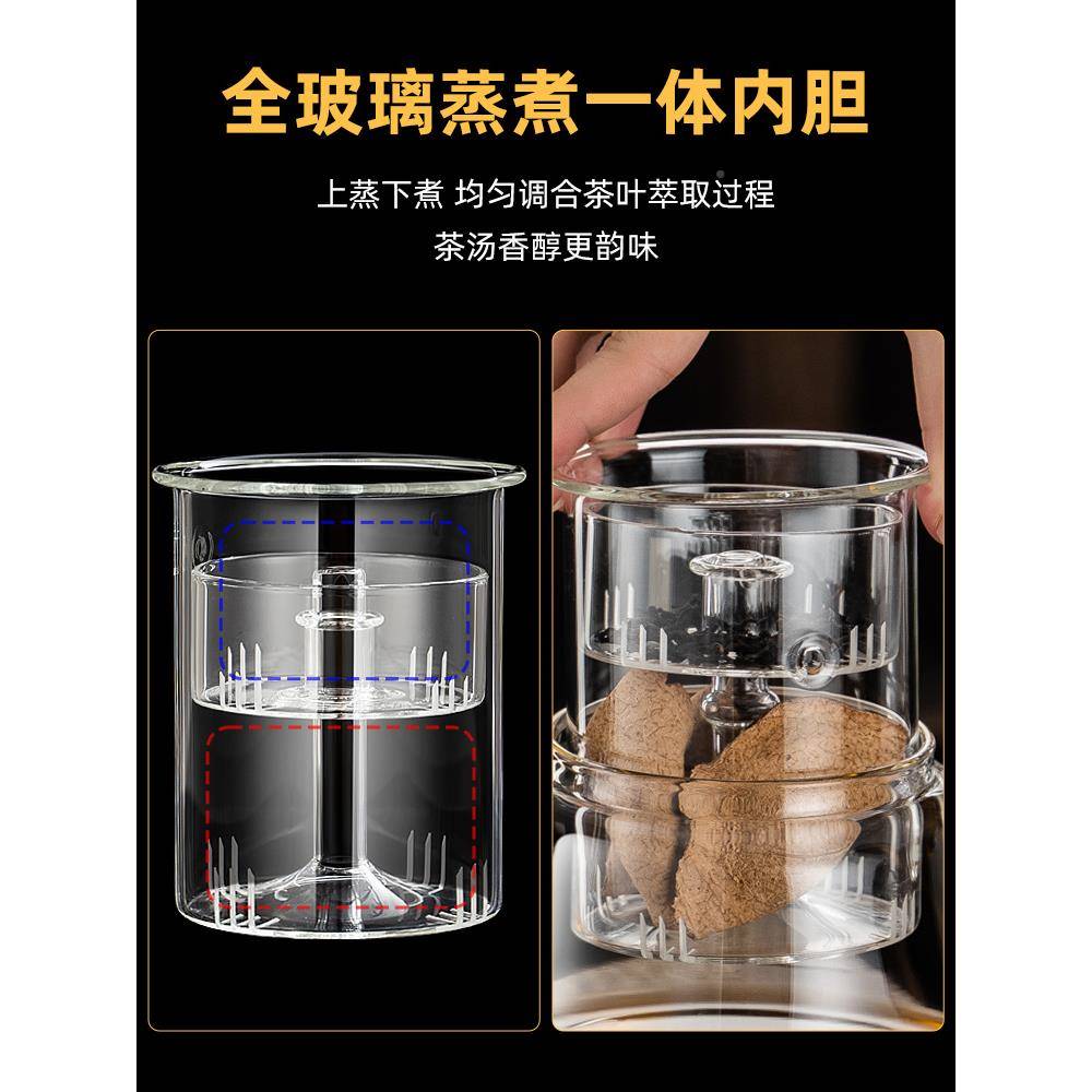 202蒸玻5新款电陶蒸煮一体炉煮茶器煮体耐高一温璃泡茶家用茶具烧