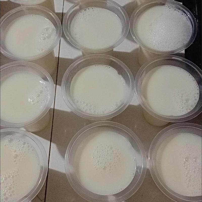 包邮原味豆奶粉豆浆商l用学校食堂专用早餐冲饮速溶甜豆浆5斤枝达