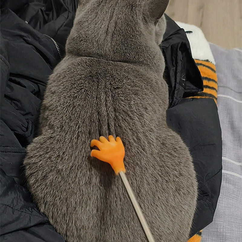 挠痒痒逗猫棒宠物梦中情棍长杆猫狗自嗨解闷神器质量好的玩具梳子