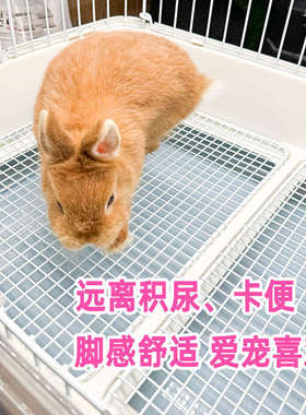 兔笼铁丝网底网配件达洋R51R61R71R81笼子原装铁底网不积尿卫生