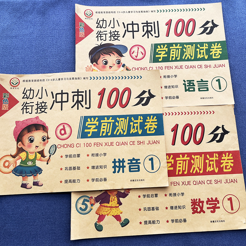 幼小衔接冲刺100分学前班练习册