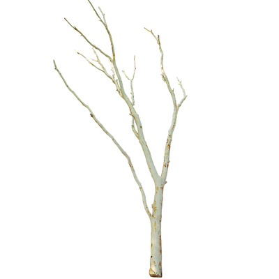 树枝装饰树杈干枝屏风枯树s枝干造型去皮原木diy手工造景幼儿园树