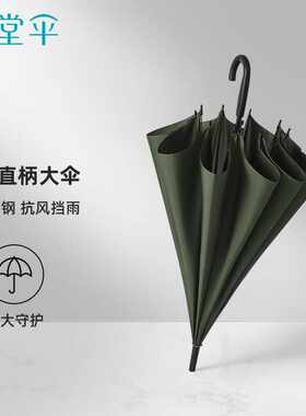 天堂伞雨伞半自动长柄伞易甩干加大商务伞男士女士直柄晴雨伞193E