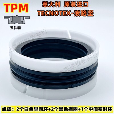 TPM-492393/492413 五件组合密封 125*100/125*105意大利TECNOTEX