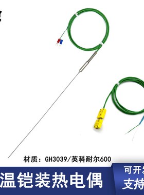 K型铠装热电偶GH3039 英科耐尔600耐高温合金丝材 高精度可弯曲 N