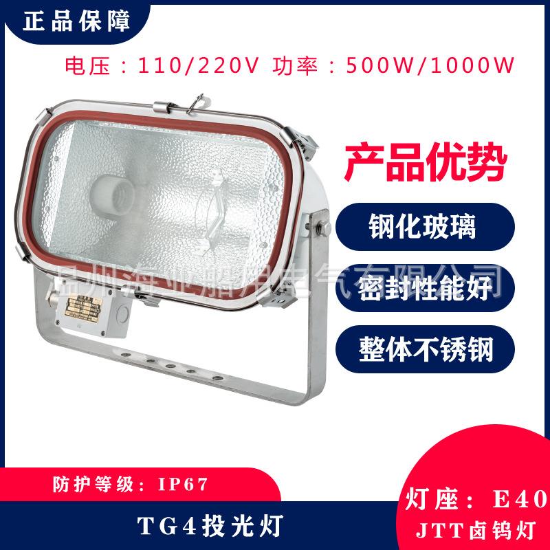船用不锈钢卤钨防水泛光工作甲板投光灯TG4500W/1000WJTT光源