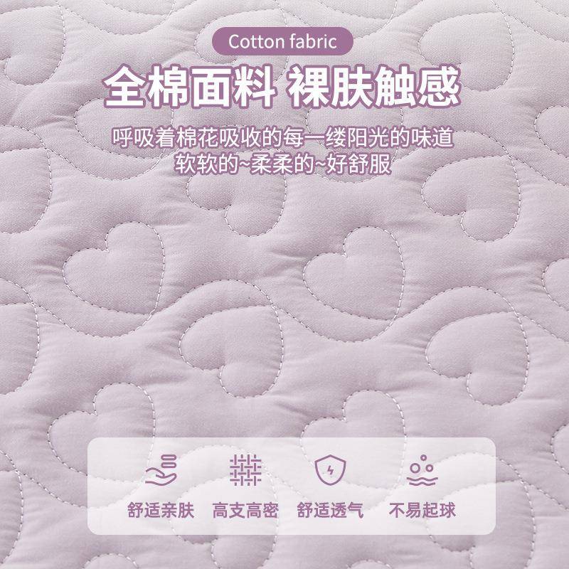 全棉夹棉床笠带裙边床裙罩单件2025新款公主风纯棉四件套四季通用
