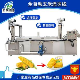 鲜玉米漂烫蒸煮机 全自动黄桃山楂蒸煮漂烫机 全套玉米加工流水线