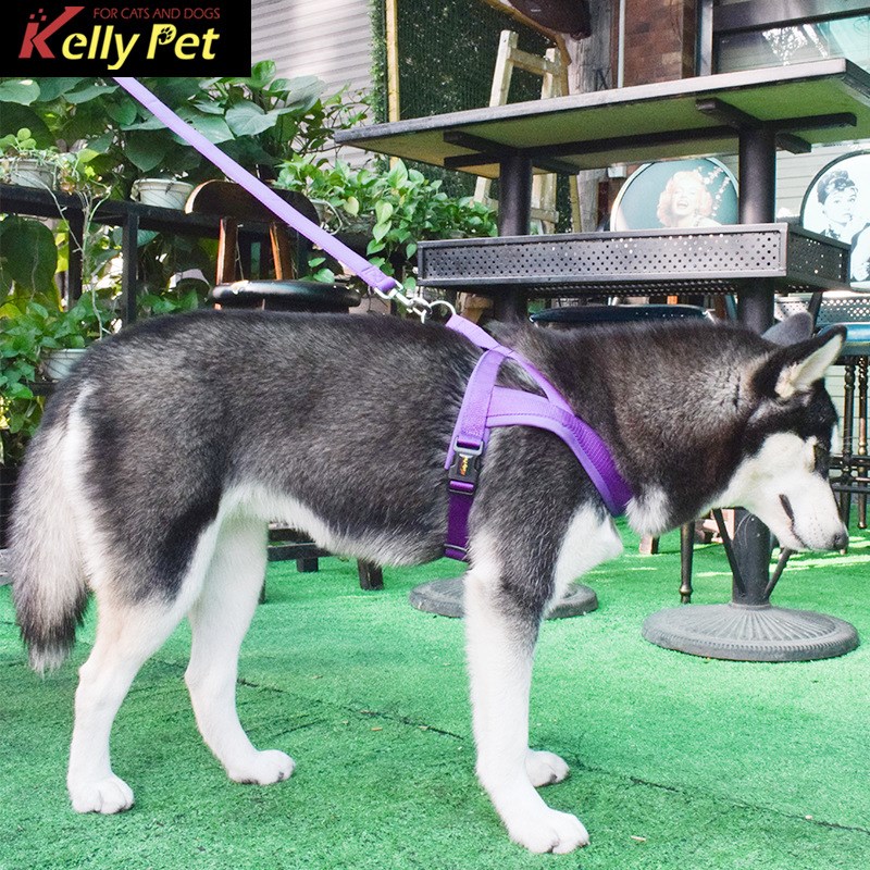kellypet宠物用品工厂潜水料狗背带尼龙狗狗牵引绳套装宠物胸背带
