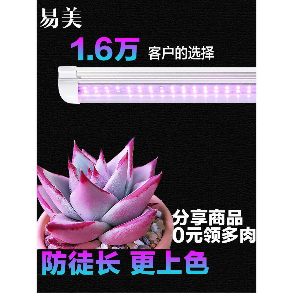 花伴侣多肉补光支架彩色全光谱Led植物生长灯站室内花模彷阳光