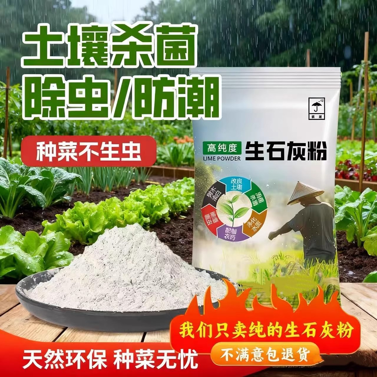 生石灰粉杀虫种菜10斤消毒灭菌
