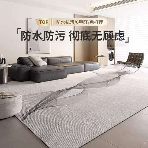 地毯客厅2024新款秋冬卧室房间床边沙发轻奢高级感地垫厚免洗可擦