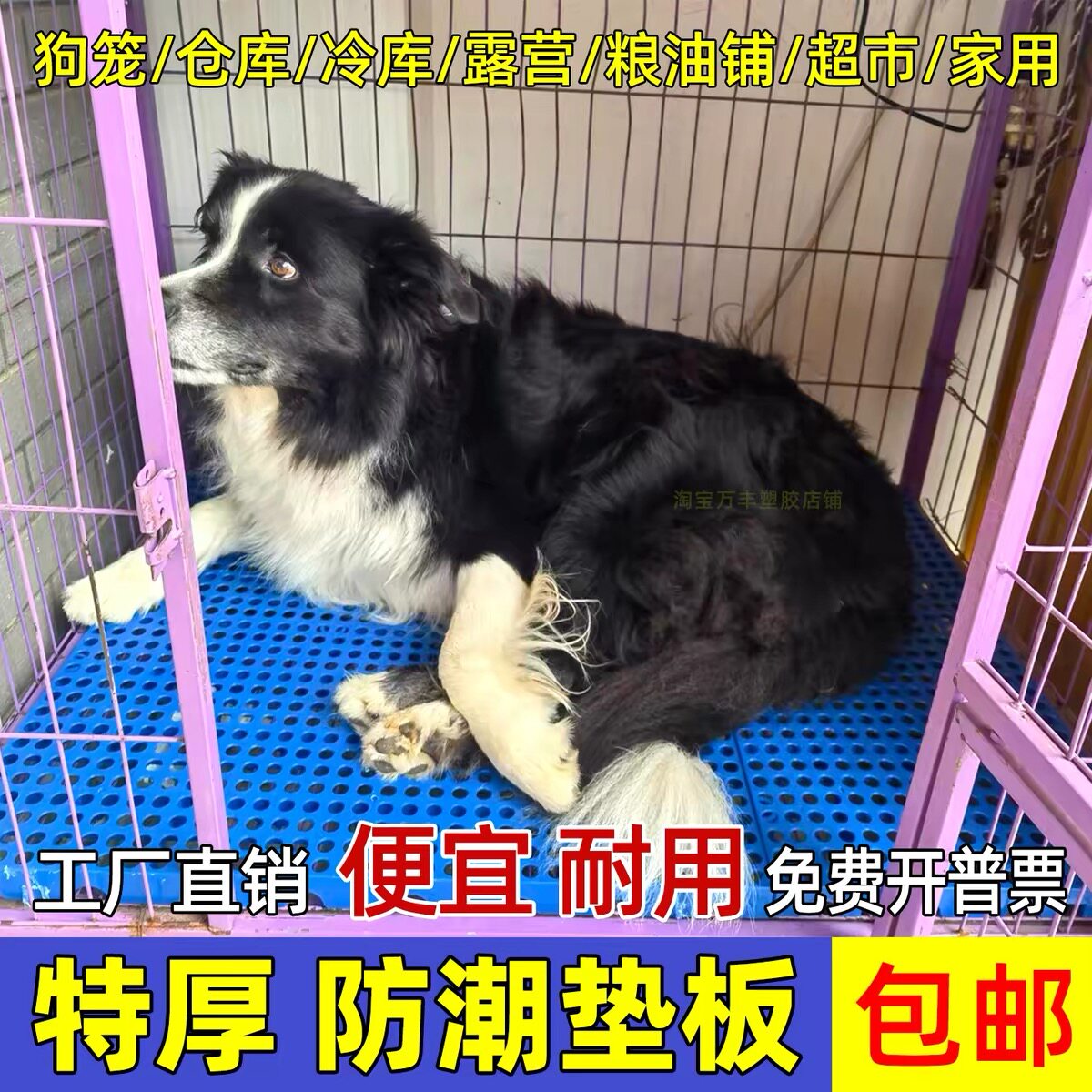 大型狗笼垫板漏屎底网狗窝加厚可拼接防撕咬防卡脚底板狗垫塑料板