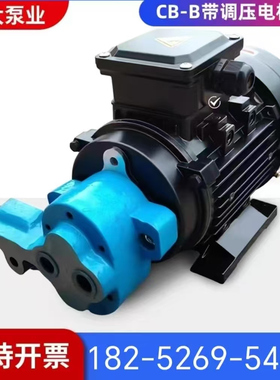 带调压CB-B6/B10/B4齿轮泵液压油泵电机组370W/550W/750W润滑泵