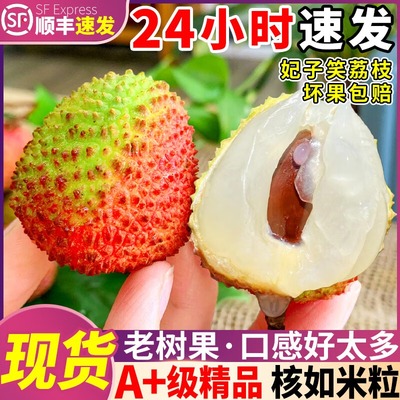 妃子笑荔枝5斤新鲜水果当季现摘