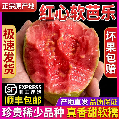 软糯红心芭乐5斤水果软心番石榴奶油翻潘蕃鸡屎果新鲜巴乐果