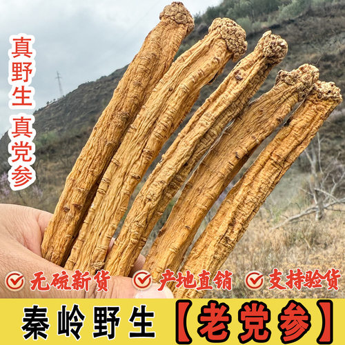 野生党参大条官方特级中药材党参