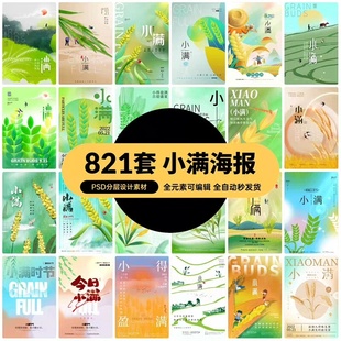 中国二十四24节气传统节日小满宣传海报展板模板PSD分层设计