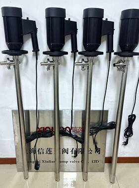 H8P-EX2-+S0S34V-1000电动桶油泵抽油桶泵柴油泵抽油器加油插桶泵