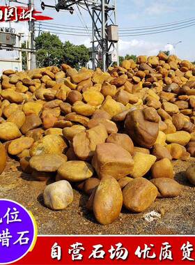 园林景观风石景石假山石鱼池驳岸料造景石黄腊石天然石黄蜡HHHS-0