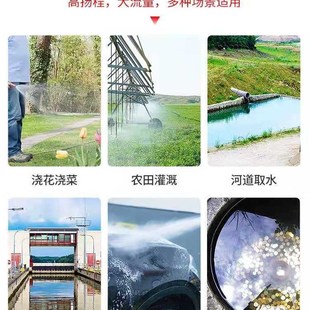 潜水泵家用220V小型高扬程x大流量抽水泵农用灌溉抽水机排污污水