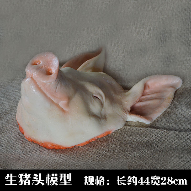 仿真生猪头模型 咬尾巴猪头生羊C头祭祀猪头可定做食品模型道具