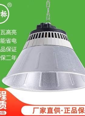 亚标LED工矿灯 厂房工厂灯仓库车间吊灯100W天棚灯TP34C照明