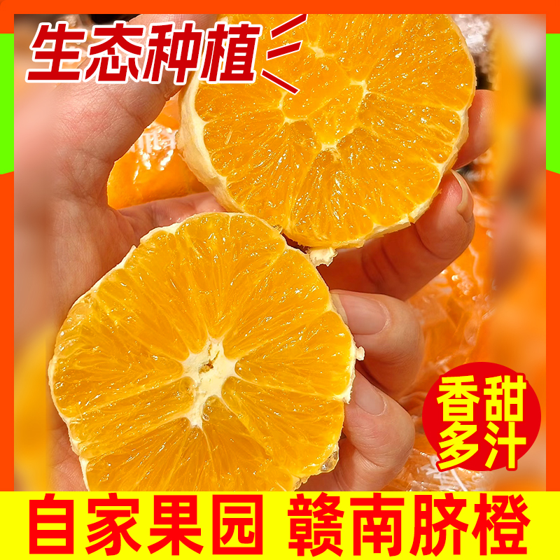 赣南脐橙果园现摘现发