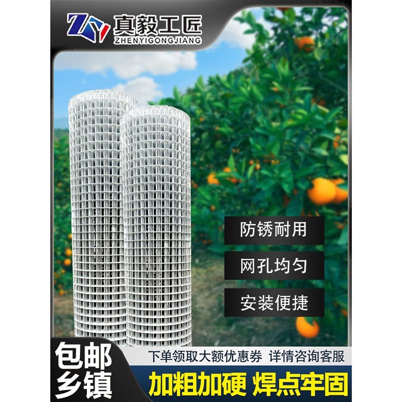 镀锌铁丝网小孔生态养殖鸡鸭鹅兔B笼鸟笼鸽舍防老鼠麻雀黄鼠狼围