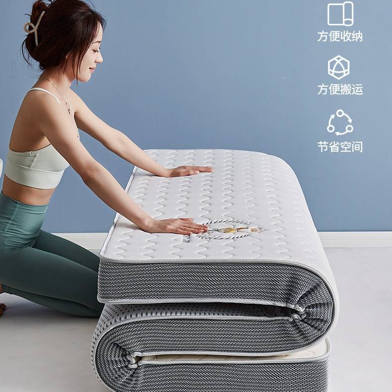 床垫子乳胶床垫学生宿舍床垫租房加厚褥子软垫家用榻榻米垫子厂家