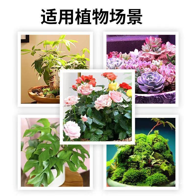 月季补光灯室内花卉LED仿太阳光照家用光合作用全光谱植物生长灯