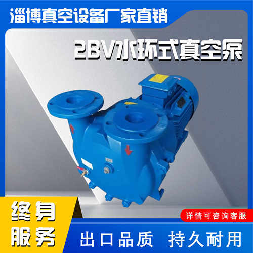 淄博2BV水环真空泵工业负压抽气