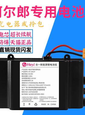阿尔郎电动平衡车锂电池合一36v通用安派新能源42v电瓶组原装配件