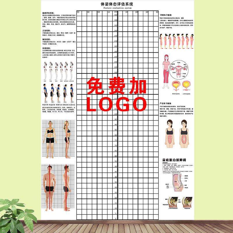 现货产后康覆体态评估图盆底肌修覆操壁纸康覆中心形体矫正测量表,家装主材,定制壁画,淘宝优惠券,粉丝福利购,淘宝优惠卷