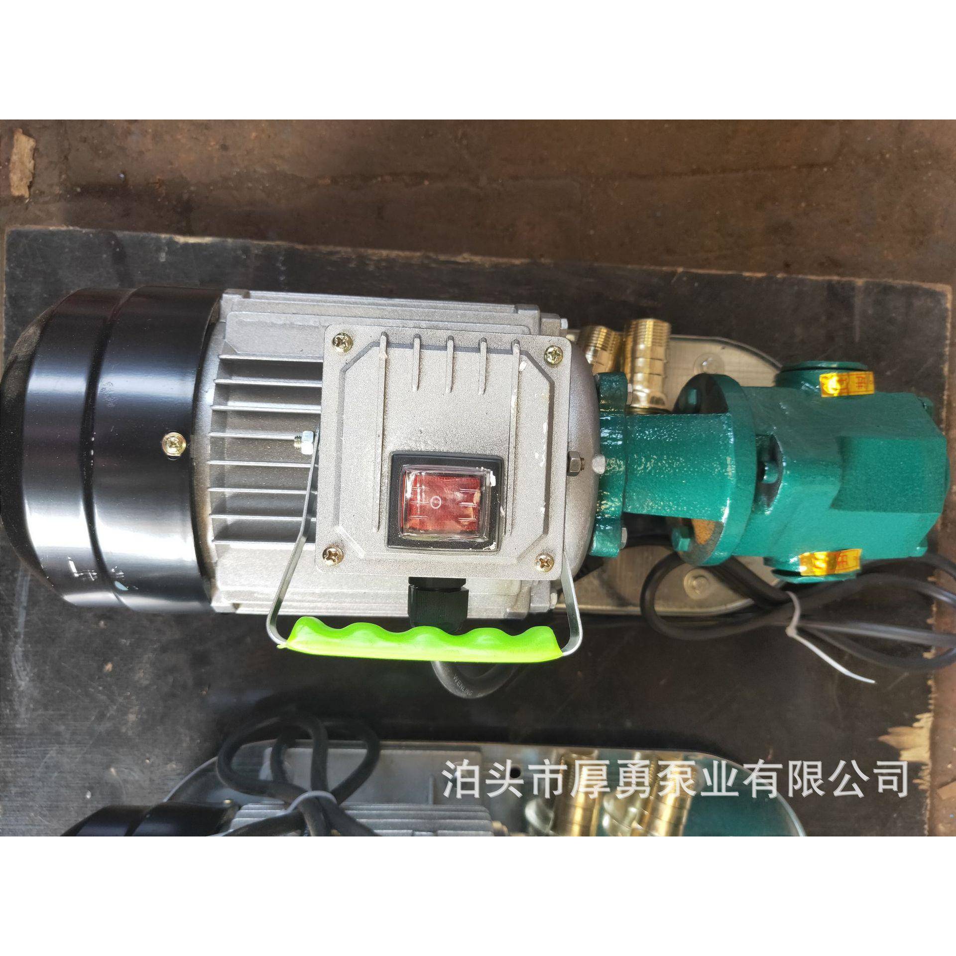 WC-30手提式齿轮泵输，不锈钢微型油泵TIG，WC齿B-100自吸轮B油泵