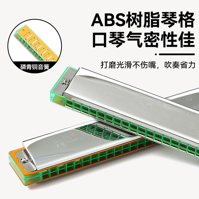 ZYG天鹅乐口初学者琴学生24孔入门音儿童复成人专业重音C调口风琴