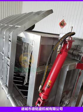 爬坡式扒生猪烫毛刨毛捞机安徽猪脱毛DMSDM-103机0打秒猪毛设备