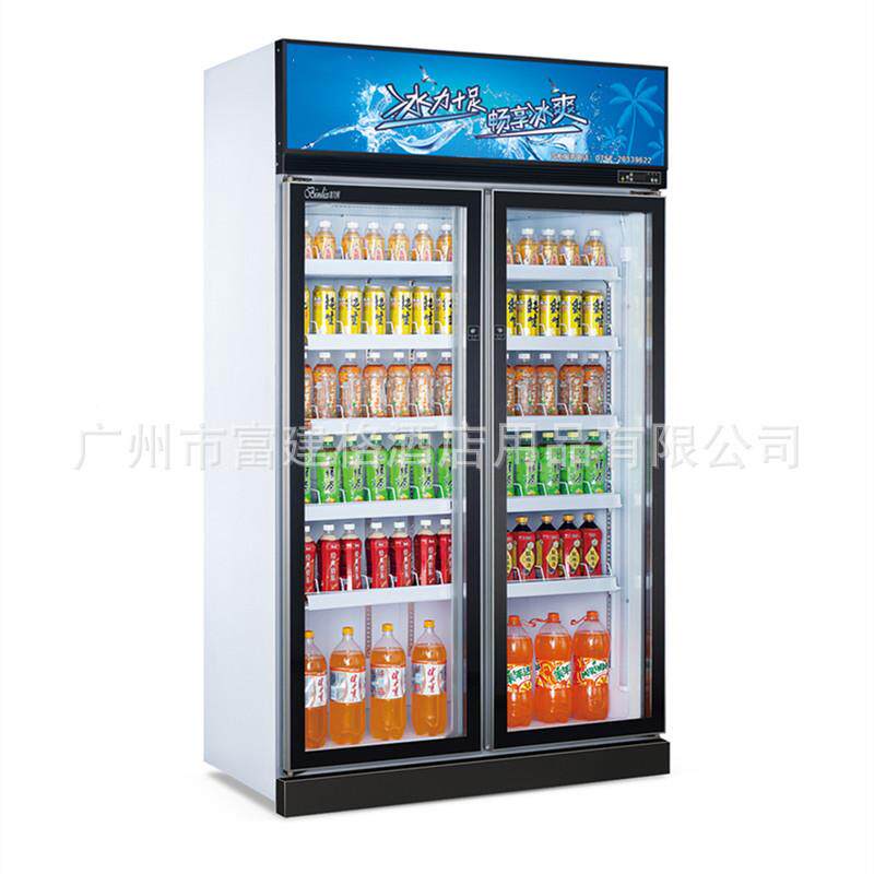 两门展冰示柜带边框饮料式冷藏柜NTS酒吧柜柜立超市商用双门柜