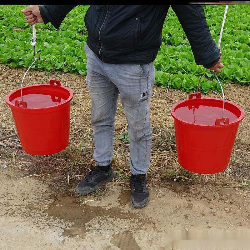 农用浇菜水桶圾牛筋胶桶粪桶桶挑水3WW4rcdP桶种菜桶诱蜂尿花盆耐