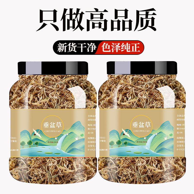垂盆草中药材正品500g非野生干货可食用药用护肝干锤盆草泡水