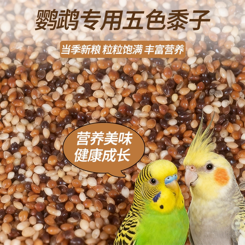 鹦鹉鸟粮五色混合粮谷子鸟食