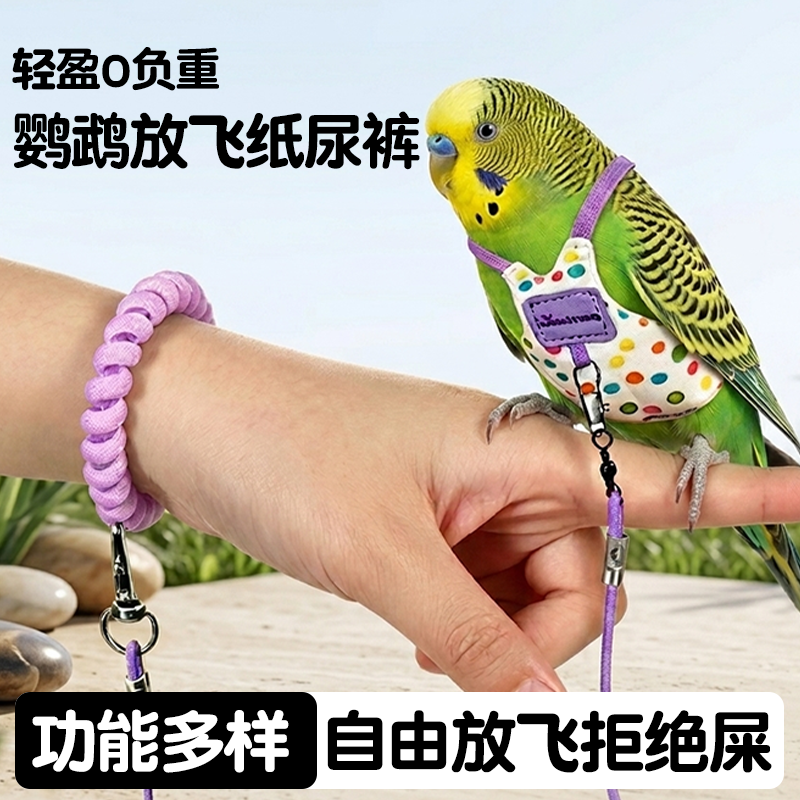 鹦鹉放飞绳训练互动玩具通用鸟类牵引绳纸尿裤防爆冲可调节鸟用品