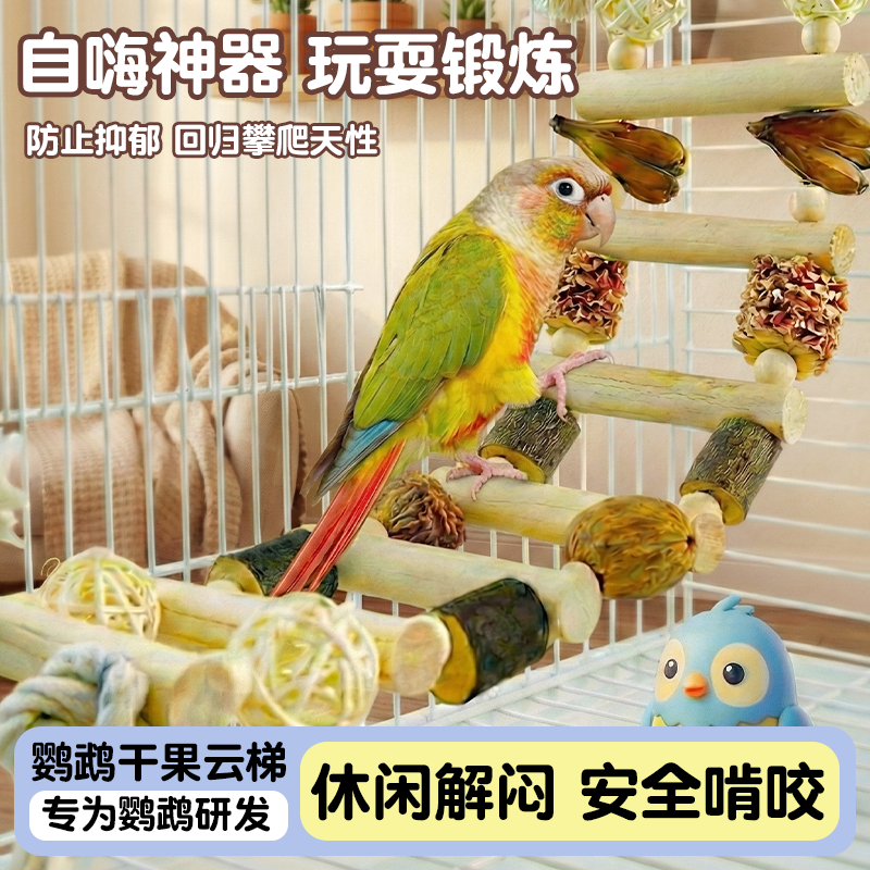 小太阳鹦鹉玩具干果云梯解闷神器鸟笼配件安全啃咬玩具鸟用品大全