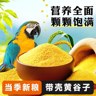 鹦鹉黄谷子鸟粮带壳小米鸟食玄凤虎皮牡丹文鸟专用粮食营养饲料